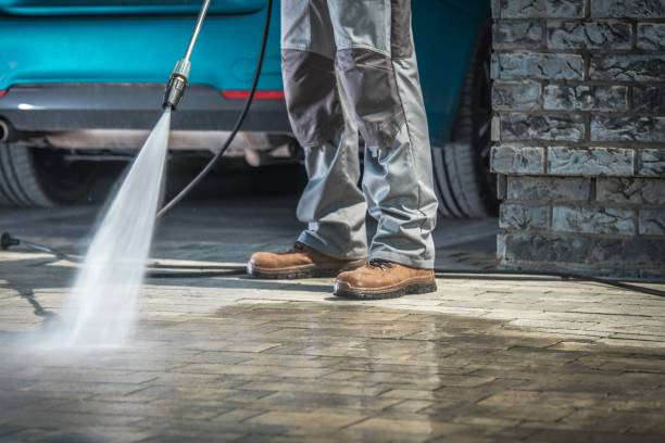 Best Sidewalk and Walkway Cleaning  in Zephyrhills North, FL