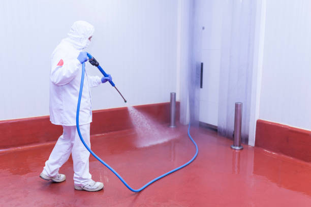 Professional Pressure Washing in Zephyrhills North, FL