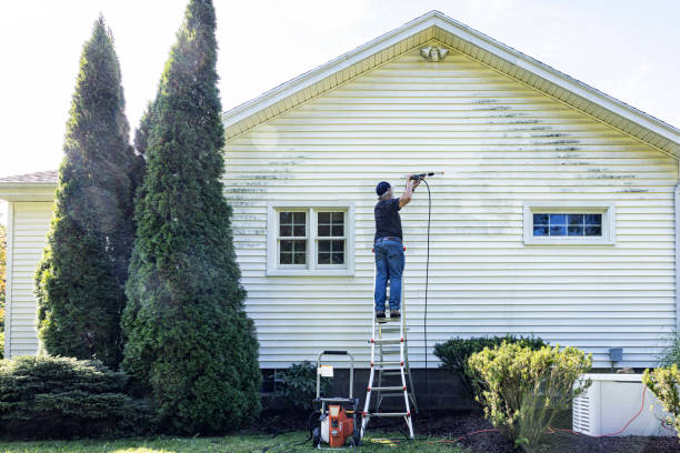Best Fence Cleaning  in Zephyrhills North, FL